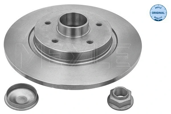 Brake Disc (16-15 523 4121)