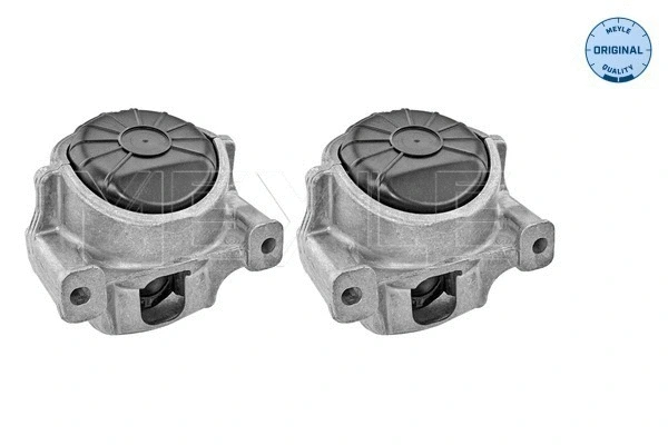 Mounting, engine