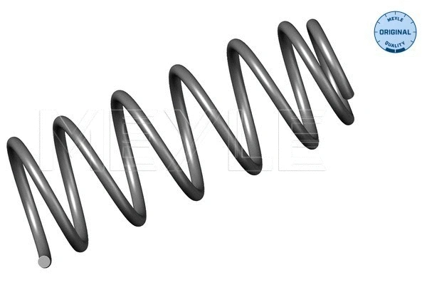 Suspension Spring (100 639 0019)
