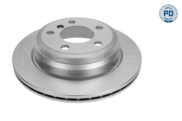 Brake Disc (315 523 0032/PD)