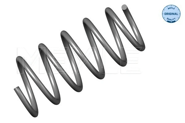 Suspension Spring (16-14 739 0000)