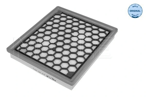 Air Filter (612 321 0012)