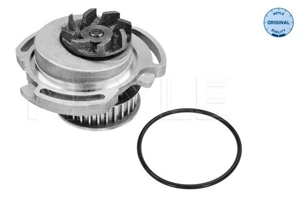 Water Pump, engine cooling (113 012 0002)