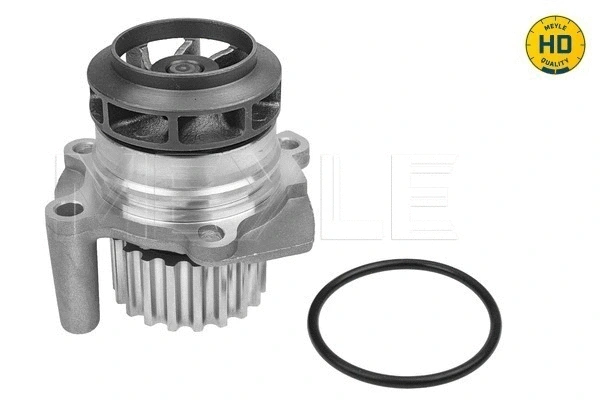Water Pump, engine cooling (113 220 0021/HD)