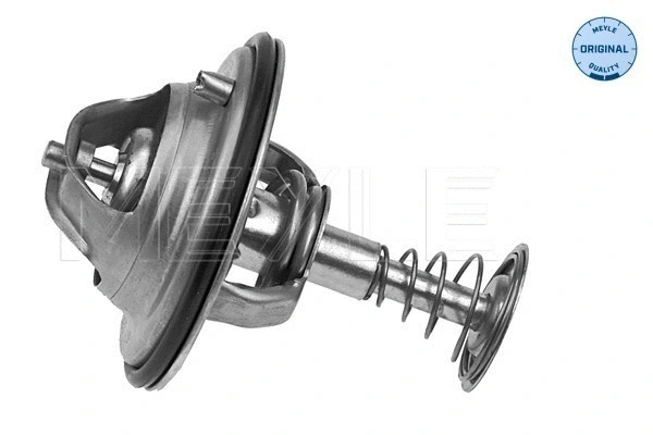 Thermostat, coolant