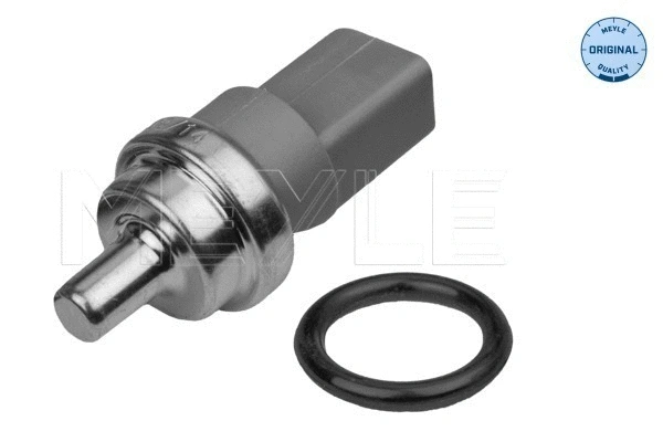 Sensor, coolant temperature (100 919 0032)