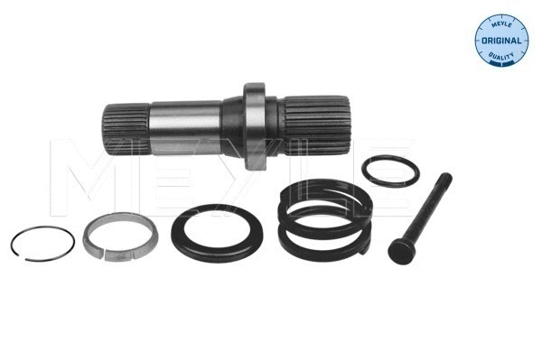 Stub Axle, differential (100 498 0243)