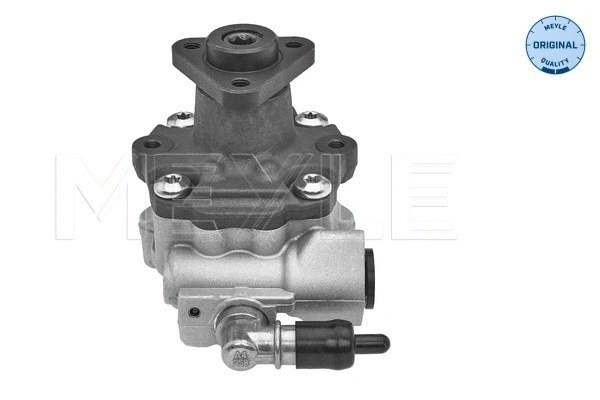 Hydraulic Pump, steering (114 631 0043)