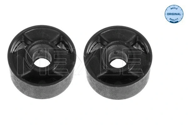 Mounting, control/trailing arm (300 311 2918)