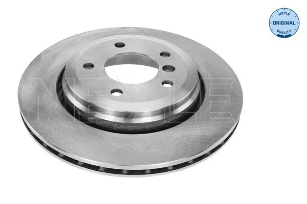 Brake Disc (315 523 0043)
