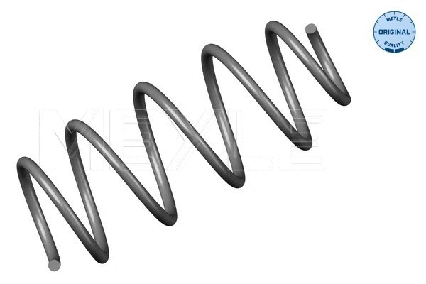 Suspension Spring (100 639 0000)