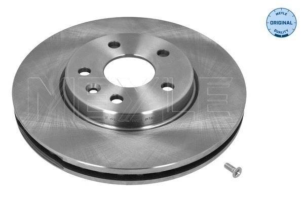 Brake Disc (615 521 0031)