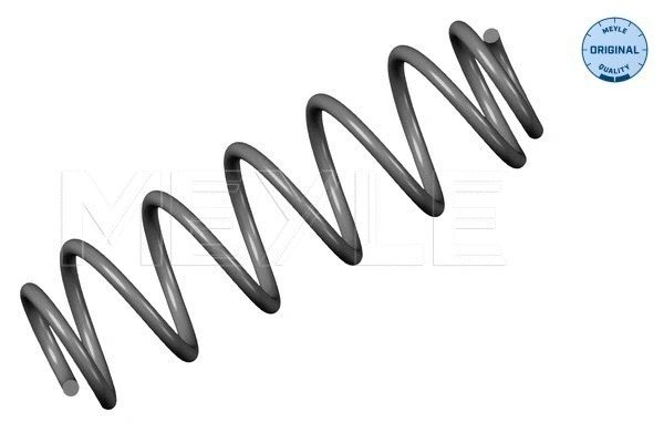 Suspension Spring (100 739 0049)
