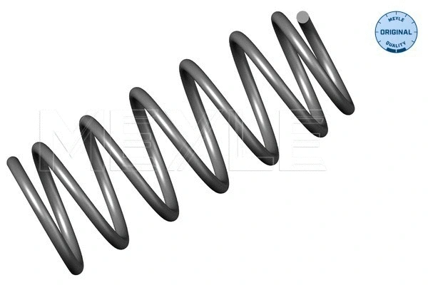 Suspension Spring (100 639 0011)