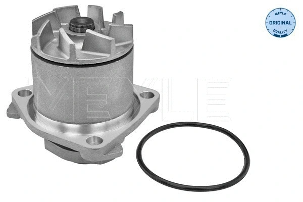 Water Pump, engine cooling (113 012 0005)