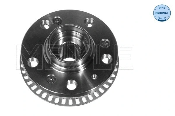 Wheel Hub (100 407 6007)