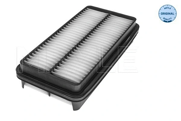 Air Filter (30-12 321 0041)