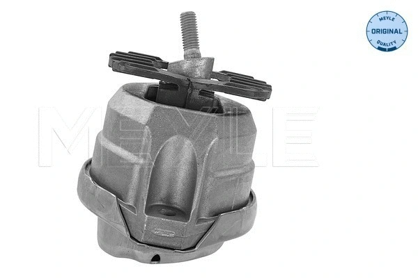 Mounting, engine (300 221 1124)