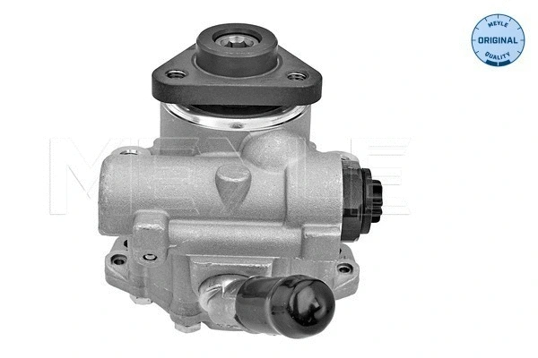 Hydraulic Pump, steering (314 631 0026)