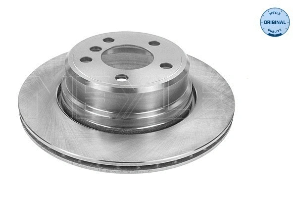Brake Disc (315 523 0055)