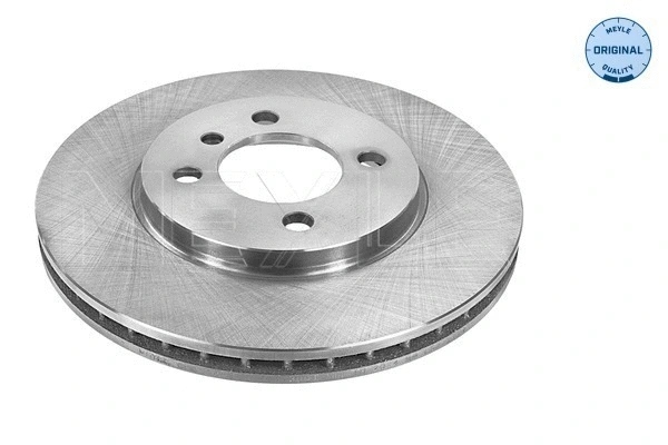 Brake Disc (315 521 3001)