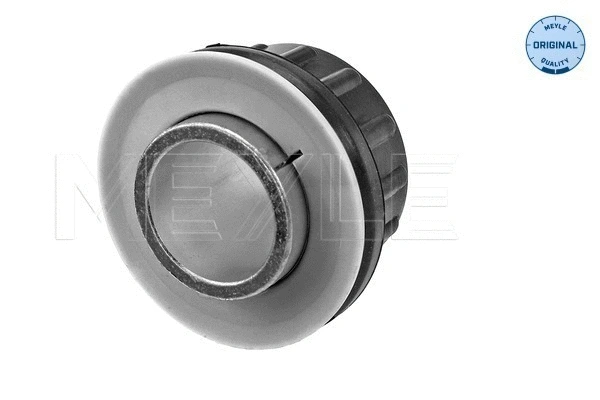 Bushing, axle beam (214 610 0034)