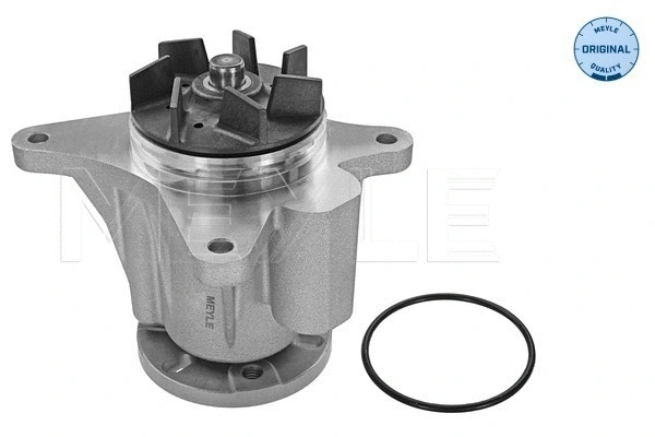 Water Pump, engine cooling (53-13 220 0008)