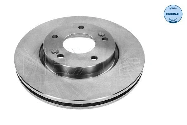 Brake Disc (37-15 521 0029)