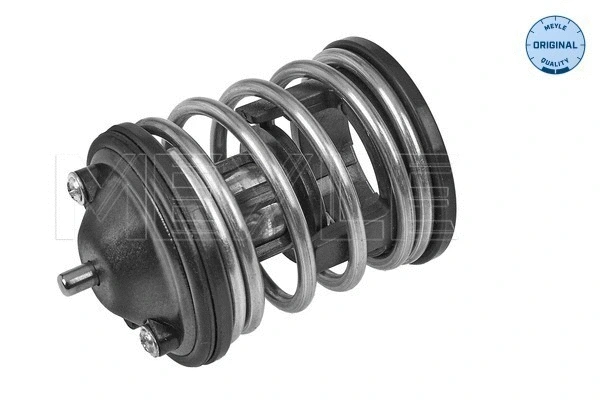 Thermostat, coolant (328 228 0010)