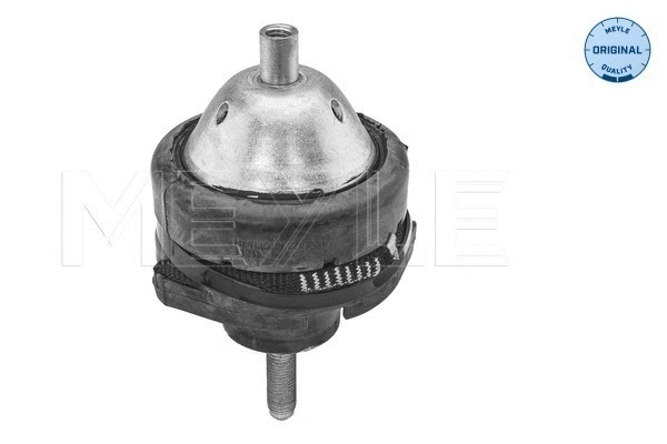 Mounting, engine (300 221 2011)