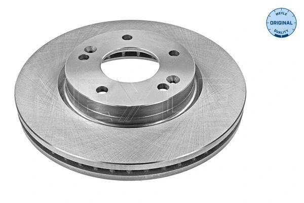 Brake Disc (37-15 521 0010)