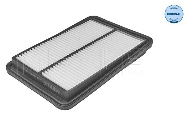 Air Filter (36-12 321 0021)