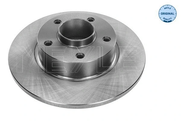 Brake Disc (615 523 0022)