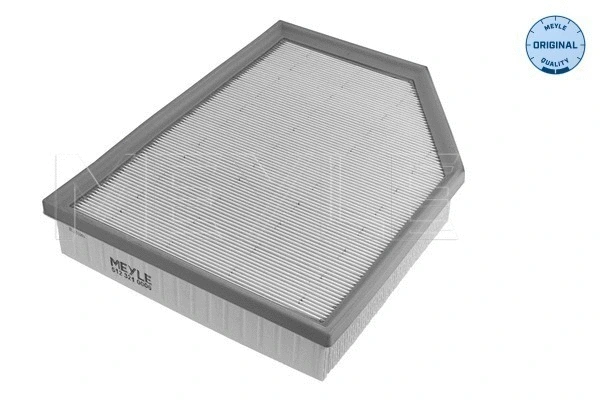 Air Filter (512 321 0006)