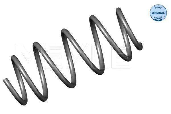 Suspension Spring (614 639 0002)