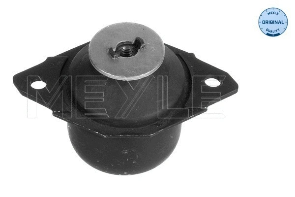 Mounting, engine (100 199 0028)