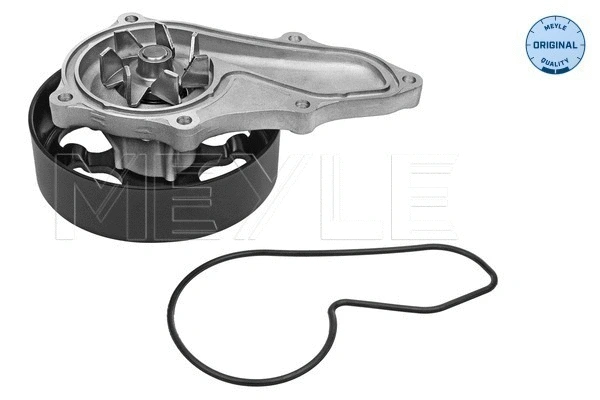 Water Pump, engine cooling (31-13 220 0001)