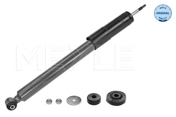 Shock Absorber (026 625 0010)