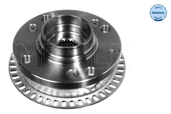 Wheel Hub (100 407 0074)