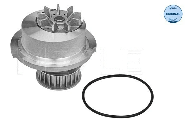 Water Pump, engine cooling (613 600 4046)