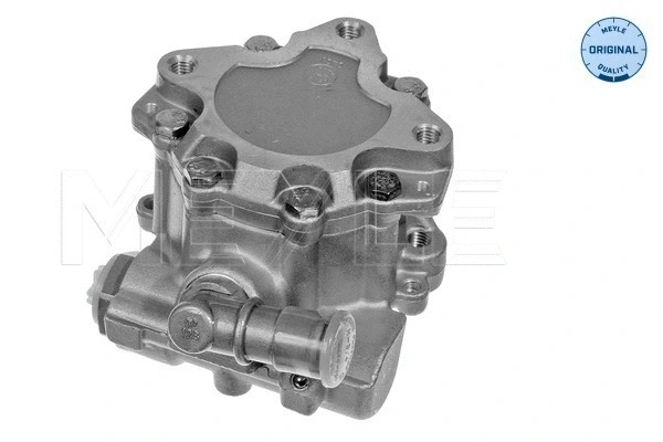 Hydraulic Pump, steering (114 631 0019)