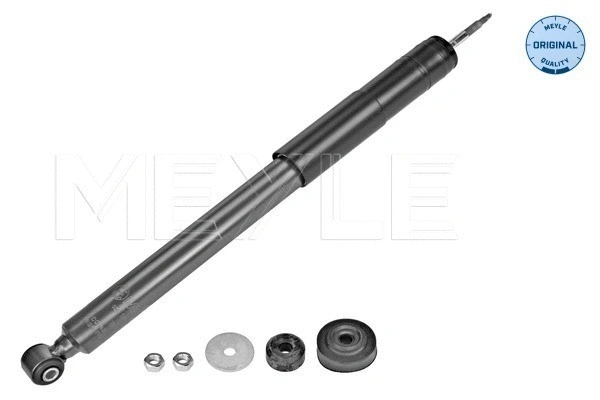 Shock Absorber (026 725 0004)