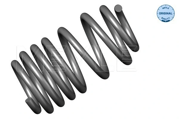Suspension Spring (614 739 0019)