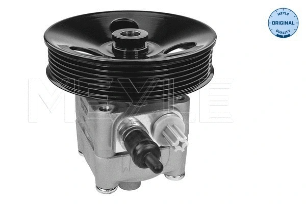 Hydraulic Pump, steering (514 631 0016)