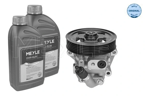 Hydraulic Pump, steering (714 631 0029/S)