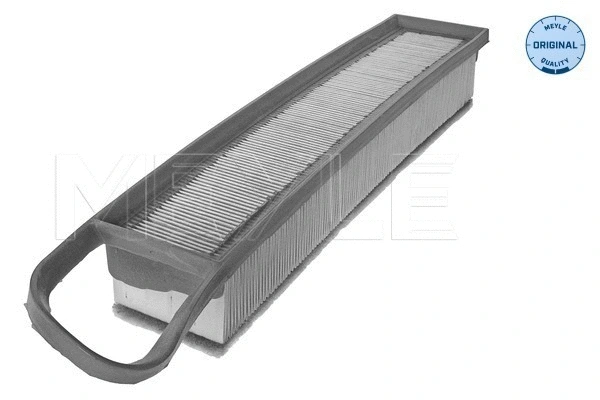Air Filter (11-12 321 0005)