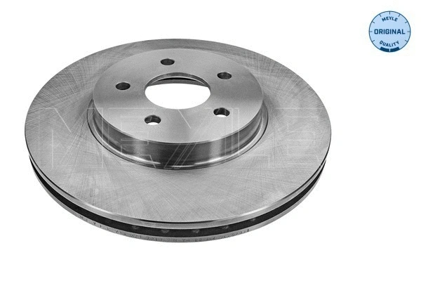 Brake Disc (715 521 7019)