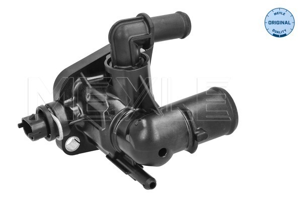 Thermostat, coolant (228 228 0009)