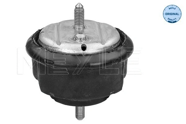 Mounting, engine (300 221 1102)