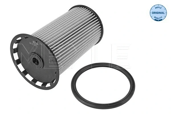 Fuel Filter (100 323 0024)